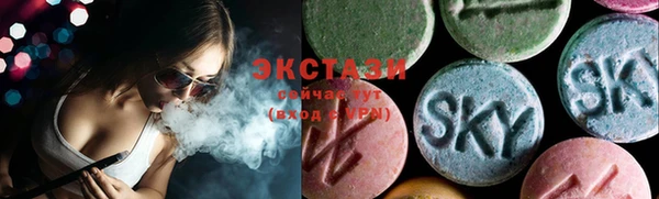 СК Вязьма
